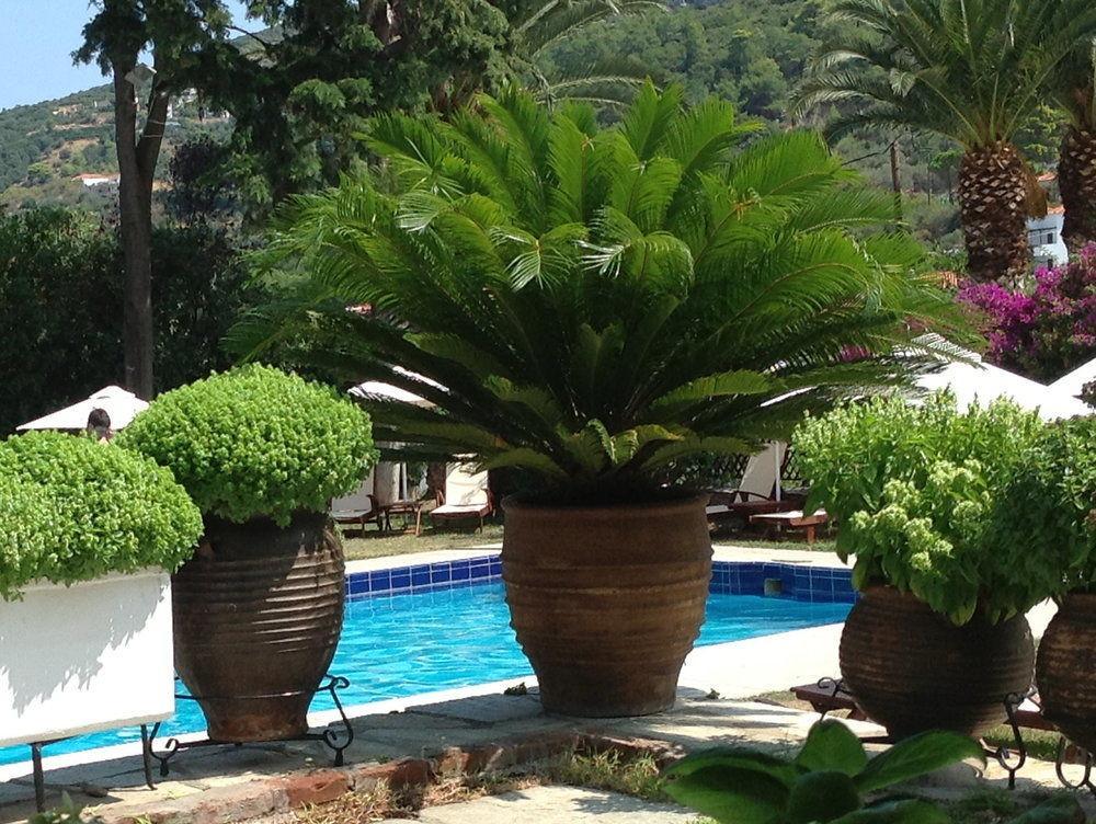 Hotel Prince Stafilos Skopelos Exterior foto