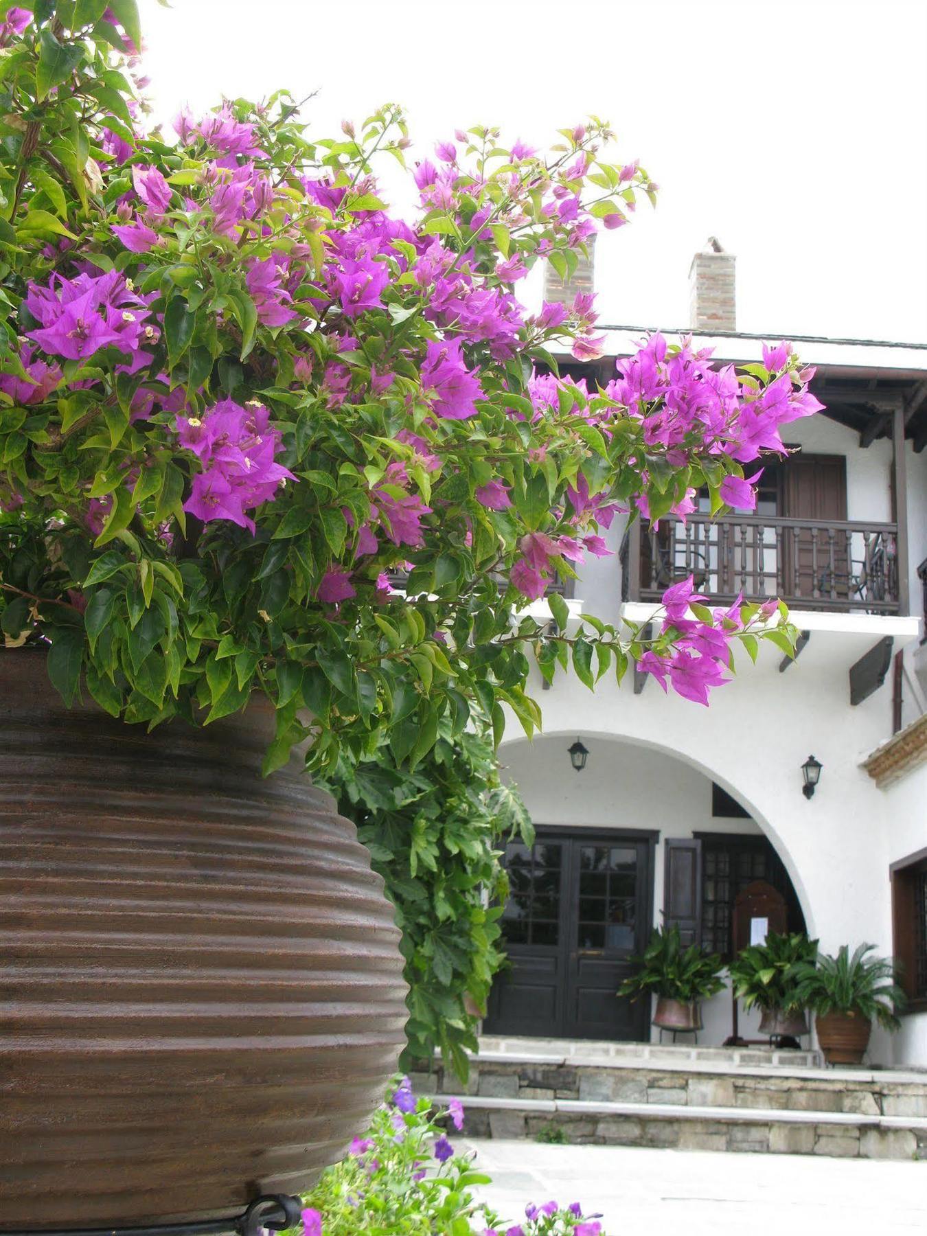 Hotel Prince Stafilos Skopelos Exterior foto